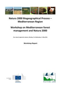 report_med_forestsworkshop