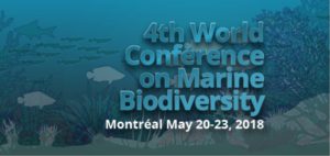 4-conference_Морское биоразнообразие